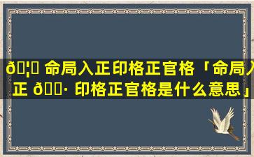 🦋 命局入正印格正官格「命局入正 🕷 印格正官格是什么意思」